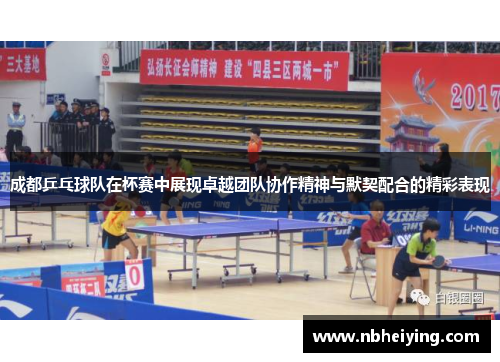 成都乒乓球队在杯赛中展现卓越团队协作精神与默契配合的精彩表现