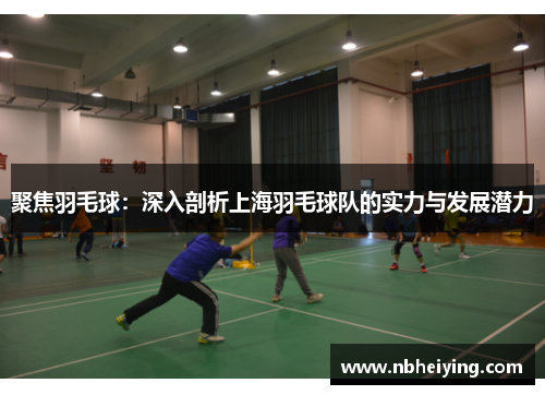 聚焦羽毛球：深入剖析上海羽毛球队的实力与发展潜力